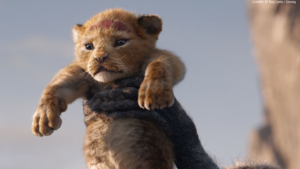 el rey león