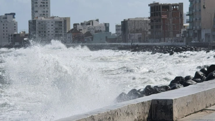 Olas de 2 a 4 metros