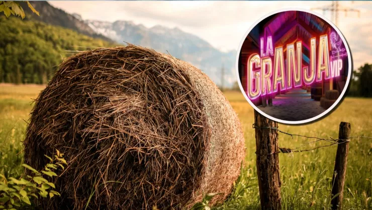 Por qué la paja será importante para La Granja VIP.