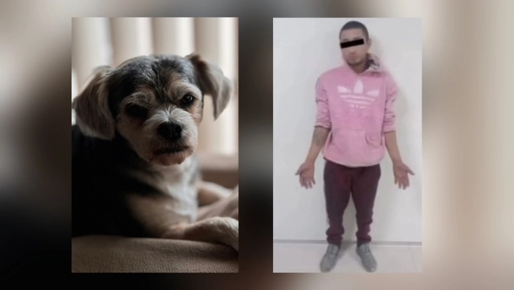 Hombre sentenciado por maltrato animal en Estado de México.