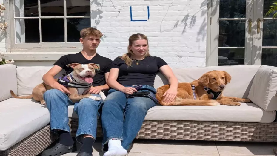 Perrita mestiza llamada Amber, de cinco años, rescatada por la organización KS Rescue Angels en Inglaterra después de una asombrosa aventura de 160km por tierra y nadar a la isla Brownsea; ahora se recupera y busca un hogar de adopción seguro y definitivo.