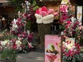 Festival Flores y Jardinería 2022 Polanco