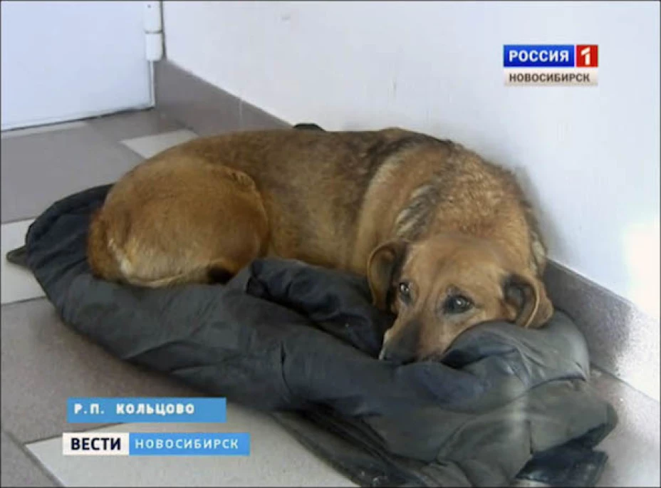 inside-masha-lies-on-the-floor.jpg