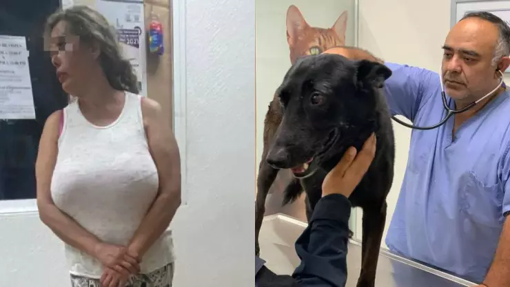 Detienen a turista por golpear a un perro policía en Playa del Carmen.jpg