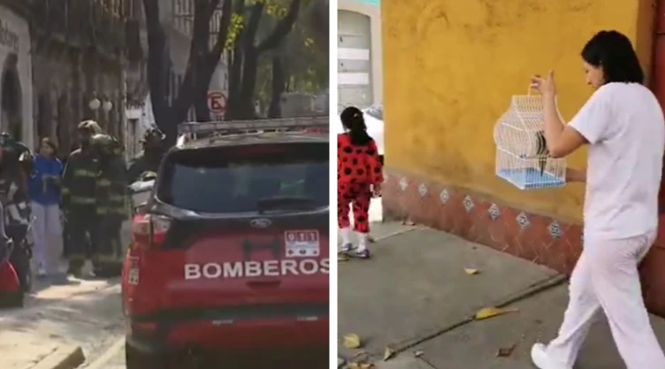 perico rescate cdmx (4).jpg