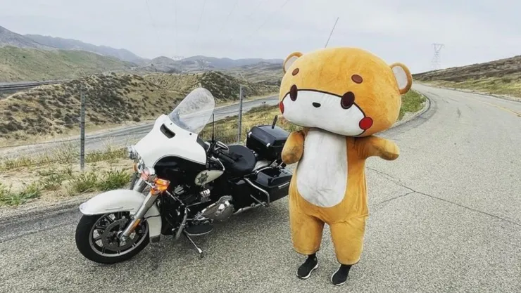 bearsun-botarga-oso.jpg