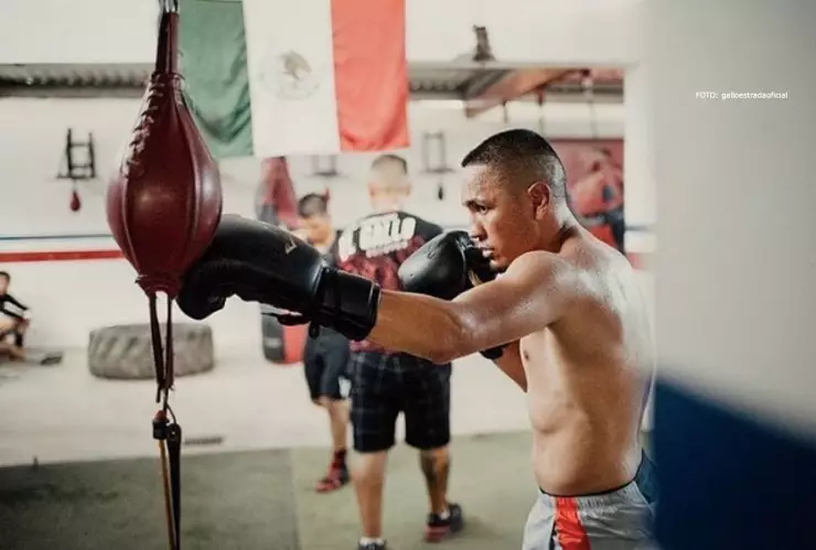 Gallo Estrada renuncia campeonato AMB