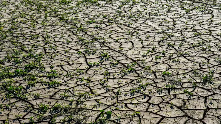 ¿Cuáles serán las consecuencias de la sequía en Jalisco para el 2025?