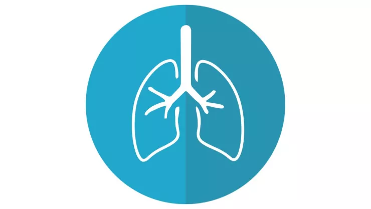 /estilo-de-vida/por-que-piña-es-mejor-fruta-limpiar-pulmones-manera-natural