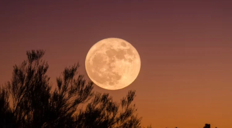 ¡Luna de Cosecha!