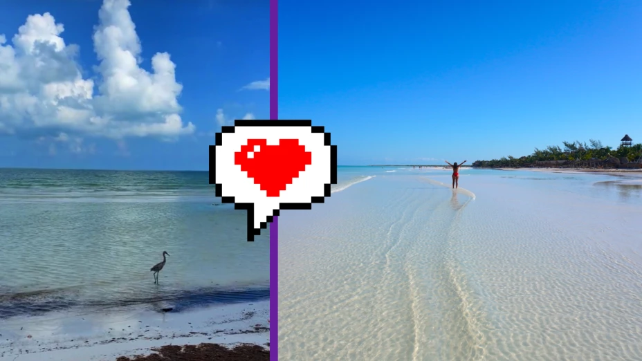 VIDEO _ ¡Ave disfruta del agua cristalina! Así lucen las playas de Holbox HOY 22 de octubre de 2025.jpg