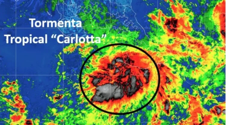 carlota