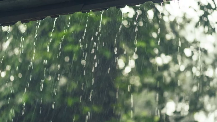 Primavera en Tijuana llega con lluvias y bajas temperaturas