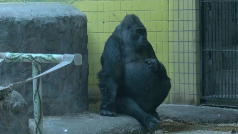 FOTO2_UCRANIA_ZOOLOGICO_ANIMALES_KIEV.jpg