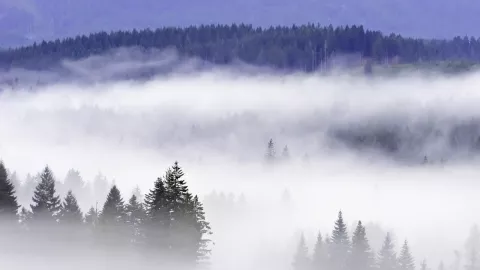La formación de niebla densa es producto de condiciones meteorológicas inusuales para esta época del año