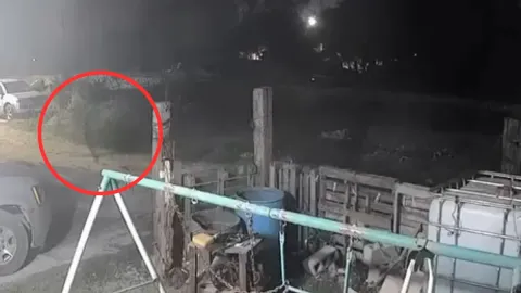 Nahual captado en Veracruz