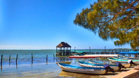 México refugio ‘pirata’