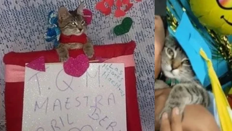 gatita foto de graduación.png