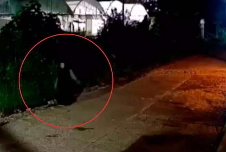 Mujer nahual Zinacantán