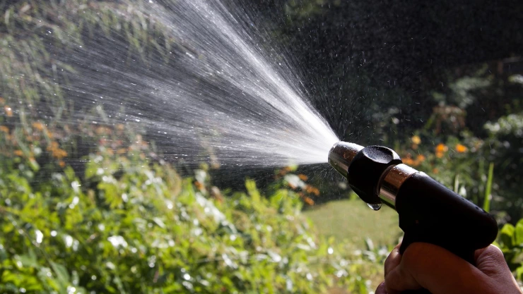 ¿Cuál es la hora ideal para regar el pasto?
