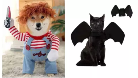 Disfraces de Halloween para mascotas