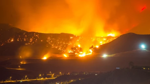 El incendio que tiene a Los &Aacute;ngeles en estado de emergencia