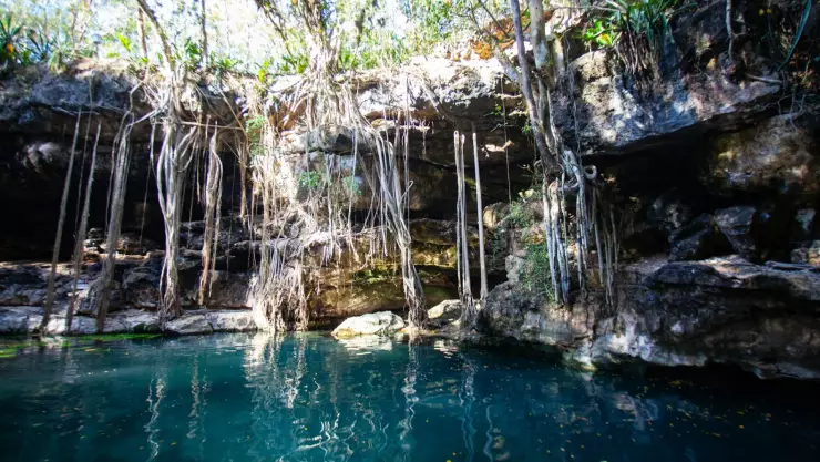 ¿Los cenotes están en peligro? Esto debes saber