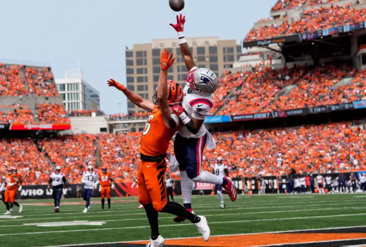 Bengals vs Patriots