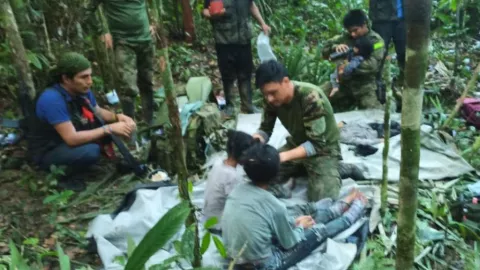 Niños perdidos en la selva de Colombia