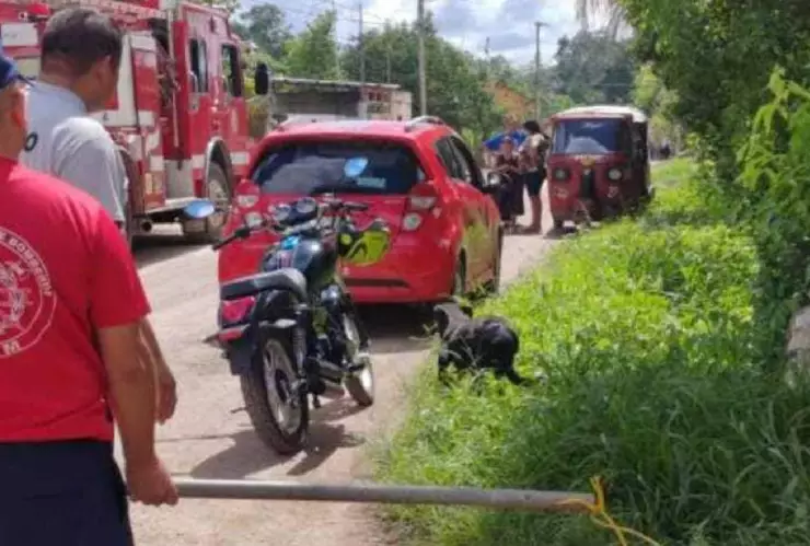 Hombre ataca con machete a perrito en José María Morelos.jpg