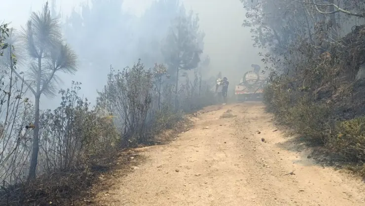 Incendios Veracruz