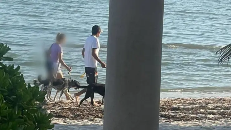 SSP asegura arma a extranjera en Chicxulub Puerto