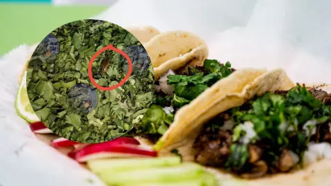 Exhiben en redes a taquería de Cancún con plaga de cucarachas _ Fotos.jpg