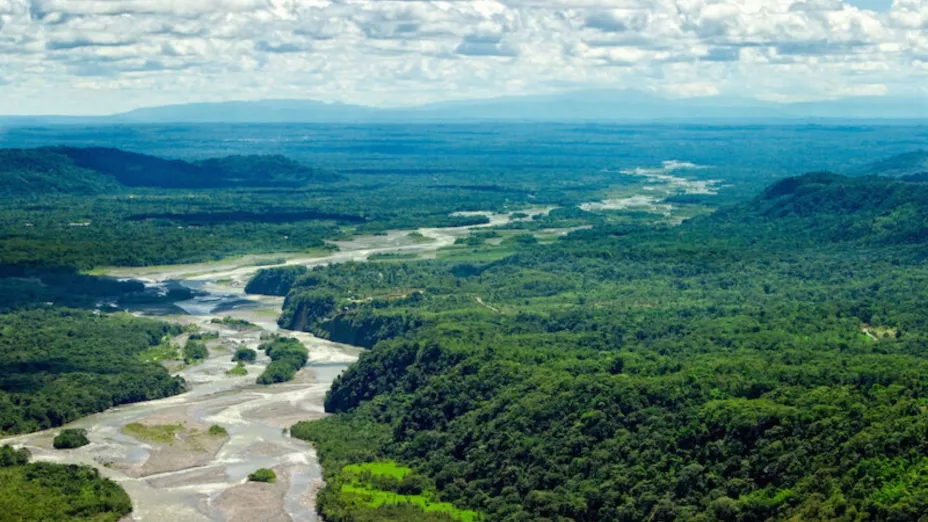 Amazonas_ammit.jpg