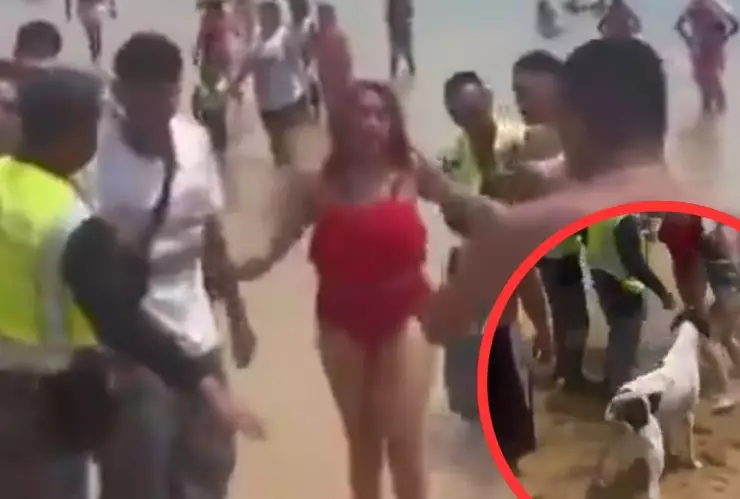 Batalla campal en el puerto de Acapulco; Perro se mete a la pelea