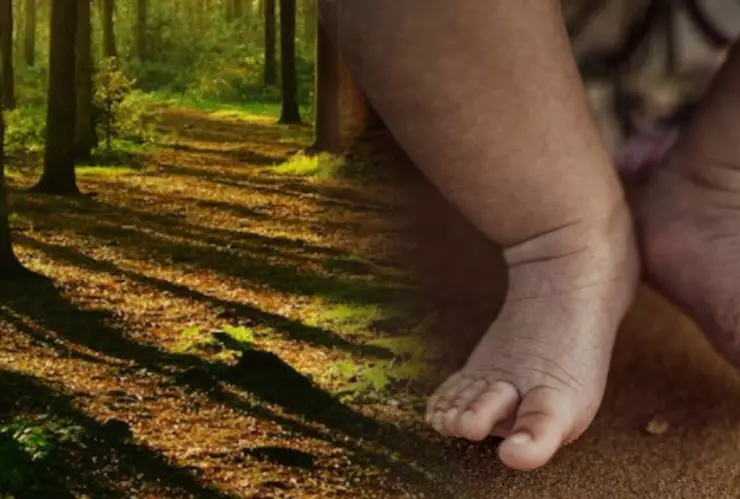 Abandonan a bebé recién nacida con el cordón umbilical en un bosque