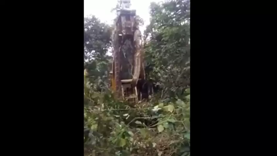 serpiente-grua-dominicana