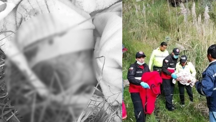 Muere bebé abandonada en Ambato, Ecuador, por infección masiva de larvas.
