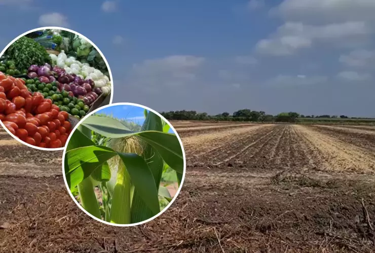 Prevén desabasto en la canasta básica