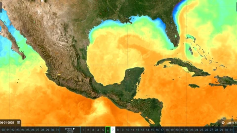 El Golfo de México se llama así debido a la extensa costa mexicana que lo rodea