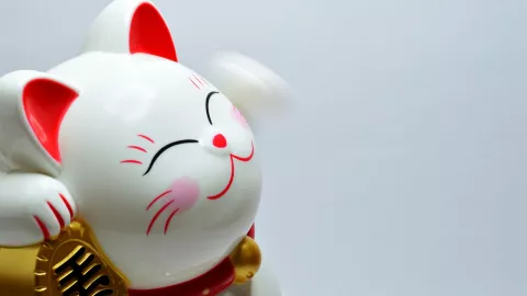 Los signos que empezarán agosto 2024 con el pie derecho, según la astrología oriental