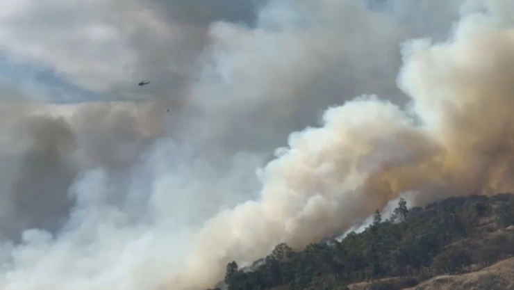 Incendio forestal en Santa Anita Tlajomulco 7 marzo 2025.jpeg