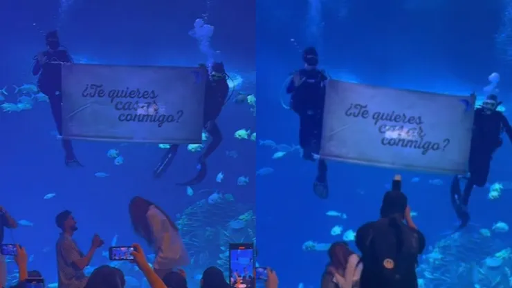 Piden matrimonio a joven en el Acuario de Mazatlán