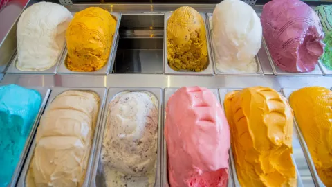 Feria de la Nieve 2026