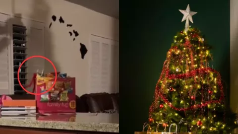 Elfo de Navidad se mueve (Video)