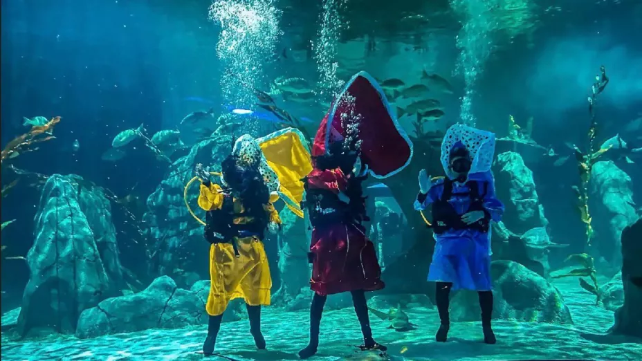 WhatsApp Image 2026-01-03 at 1.2.jpg