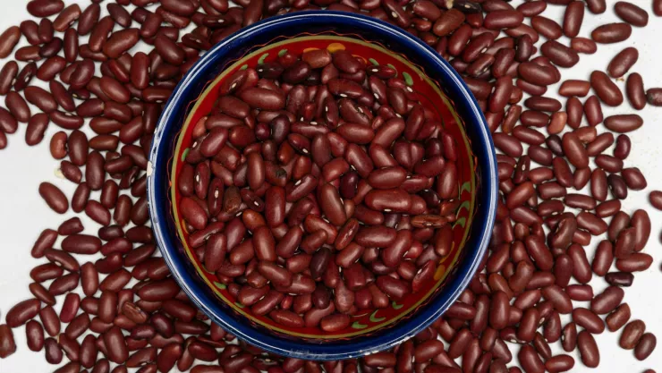 Canasta básica en Guanajuato hoy 5 de noviembre 2024