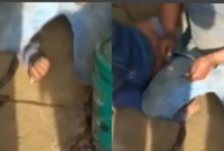 Menor era torturado por sus compañeros de trabajo con toques eléctricos