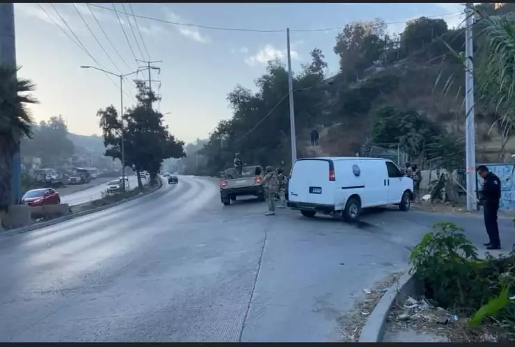 Cadáver rosas magallón