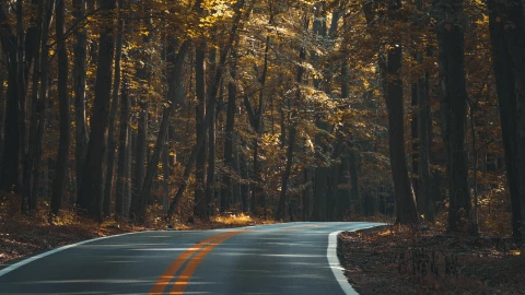 EN VIVO: ¿Qué pasa en la autopista Guadalajara-Puerto Vallarta hoy? Tráfico este 3 de febrero de 2026